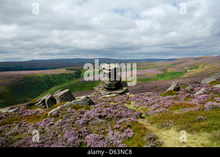 Salt Cellar, weird gritstone rock formations created from last ice age,Derwent Edge,  Peak District,England,Britain,UK, Stock Photo