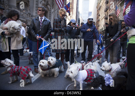 Scottish bagpipers, dancers, marchers and onlookers enjoy the annual Tartan Day Parade on 6th Ave. in New York City Stock Photo