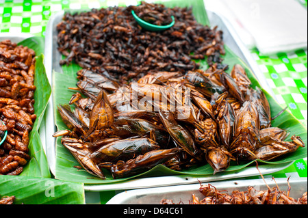 Thai food at market. Fried insects grasshopper for snack Stock Photo