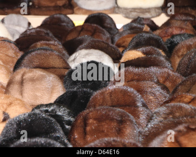Fur hats are often worn for warmth and fashion during colder months. These hats, made from various types of fur, provide both comfort and style, especially in winter weather. Stock Photo