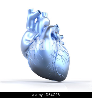 The coronary vessels of the heart Stock Photo - Alamy