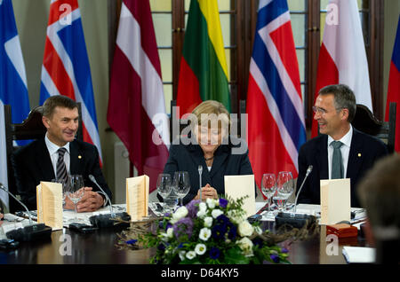 German chancellor Angela Merkel (C), Estonia's Prime Minister Andrus Ansip (L) and Norway's Prime Minister Jens Stoltenberg wait before a dinner at the start of a Baltic Sea States Council summit to discuss energy and demographic issues on May 30, 2012 in Stralsund, northern Germany. The Council of the Baltic Sea States is an overall political forum for regional inter-governmental  Stock Photo