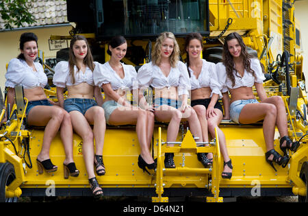Annabel (20, L-R) from Upper Palatinate, Greta (21) from Upper Franconia, Andrea (23) from Upper Bavaria, Veronika (21) from Upper Bavaria, Katharina (22) from Upper Bavaria and Ramona (18) from Swabia pose during a press photocall for the Bavarian Young Farmers' Calendar 2013 at a farm in Meeder-Moggenbrunn, Germany, 31 May 2012. The calendar will be pubilshed for the 8th time nex Stock Photo