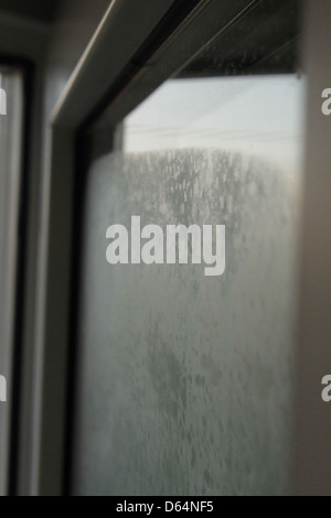 Condensation on double-glazed windows occurs when moisture in the air collects on the glass surface. This phenomenon often indicates a difference in temperature between the inside and outside environments. Stock Photo