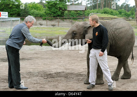 Elephant cow Nelly interacts with former German national goal keeper Sepp Maier at Serengeti Park in Hodenhagen, Germany, 06 June 2012. Before every match of the German team Nelly is going to take goal-kicks at two goals. If she hits the goal of the opposing team, the German national soccer team will win their next match. Nelly's prophecy for Germany's match against Portugal is a w Stock Photo