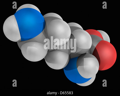 Lysine molecule Stock Photo