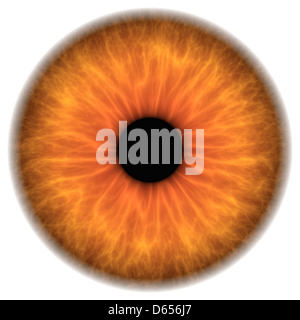 Brown eye, artwork Stock Photo