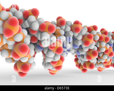 DNA molecule Stock Photo