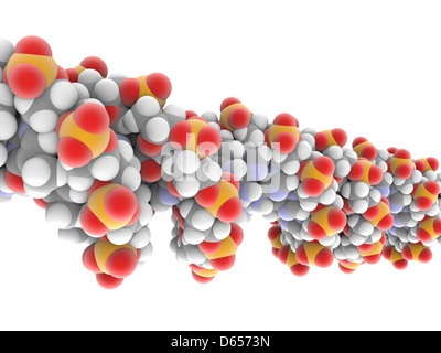 DNA molecule Stock Photo