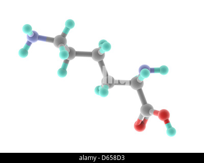 Lysine molecule Stock Photo