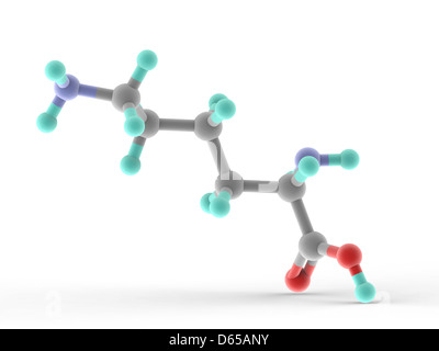 Lysine molecule Stock Photo