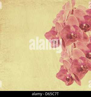 textured old paper background with magenta phalaenopsis orchid Stock Photo