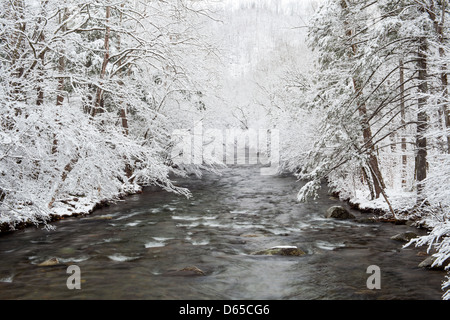 The Little River upstream of Metcalf Bottoms in the Great Smoky Mountain National Park.  The river begins on the north slope of Clingman's Dome, which is the highest point in the state of Tennessee.  It runs 51 miles, much of it in the park itself, until it drains into the Tennessee River and Fort Loudon Lake in Knox County, Tennessee. Stock Photo