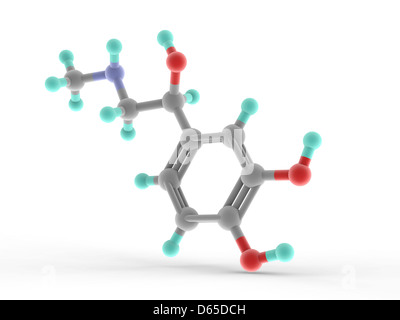 Adrenaline epinephrine molecule Stock Photo