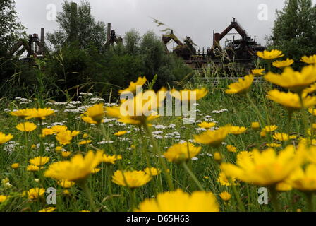 The 'paradise' part of the world heritage 'Alte Voelklinger Huette' is pictured in Voelklingen, Germany, 20 June 2012. This part was designed by the German-Swiss landscape architect Catherina Countess Bernadotte af (of) Wiesborg. Photo: Becker&Bredel Stock Photo