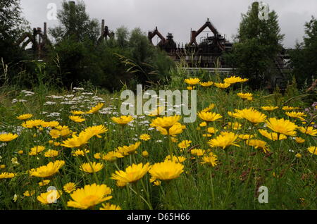 The 'paradise' part of the world heritage 'Alte Voelklinger Huette' is pictured in Voelklingen, Germany, 20 June 2012. This part was designed by the German-Swiss landscape architect Catherina Countess Bernadotte af (of) Wiesborg. Photo: Becker&Bredel Stock Photo