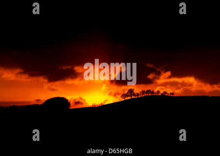 Fire in the sky, Deep moody colored sunset with clouds and trees in silhouette. Stock Photo