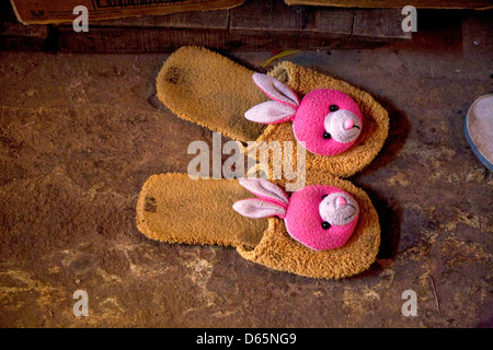 Bunny slippers Stock Photo