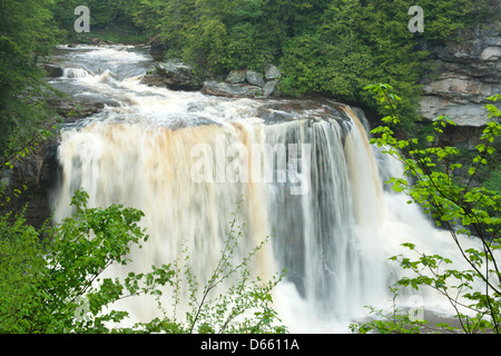 MAIN WATERFALLS BLACKWATER FALLS STATE PARK WEST VIRGINIA USA Stock Photo