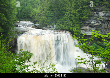 MAIN WATERFALLS BLACKWATER FALLS STATE PARK WEST VIRGINIA USA Stock Photo