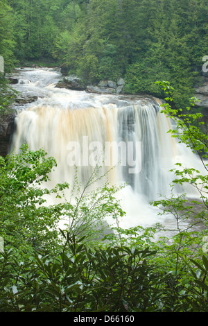 MAIN WATERFALLS BLACKWATER FALLS STATE PARK WEST VIRGINIA USA Stock Photo