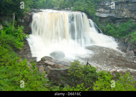 MAIN WATERFALLS BLACKWATER FALLS STATE PARK WEST VIRGINIA USA Stock Photo