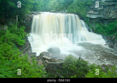 MAIN WATERFALLS BLACKWATER FALLS STATE PARK WEST VIRGINIA USA Stock Photo