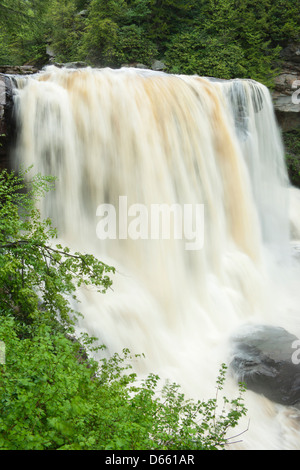 MAIN WATERFALLS BLACKWATER FALLS STATE PARK WEST VIRGINIA USA Stock Photo