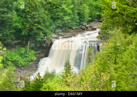 MAIN WATERFALLS BLACKWATER FALLS STATE PARK WEST VIRGINIA USA Stock Photo