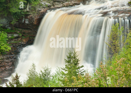 MAIN WATERFALLS BLACKWATER FALLS STATE PARK WEST VIRGINIA USA Stock Photo