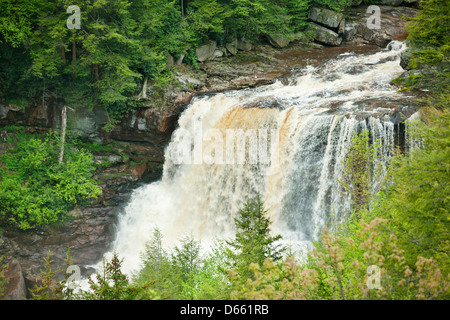 MAIN WATERFALLS BLACKWATER FALLS STATE PARK WEST VIRGINIA USA Stock Photo