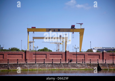 Harland & Wolff's Gantry cranes, Samson and Goliath, Belfast, Northern Ireland Stock Photo