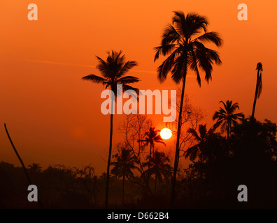 Sunrise in the village of Tamborim in South Goa, India Stock Photo