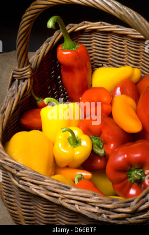 Mixed red, yellow and orange peppers in a basket Stock Photo