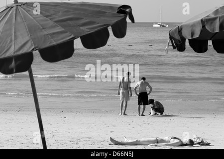 Woman sunbathes on beach while three men go clamming Stock Photo