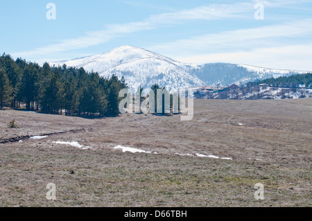 Grass fields in rural areas of Serbia Novi Sad surroundings Stock Photo