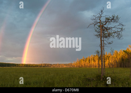 rainbow over finnish landscape, finland Stock Photo