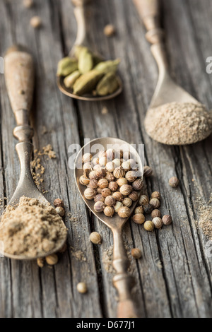 Spoons with cardamom and coriander seeds and powder Stock Photo