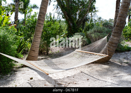 Hammock Tied Between Two Trees On The Beach Stock Photo