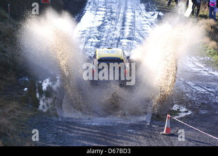 D. OLIVEIRA & F. MUSSANO in their Mini on the 2011 Wales Rally GB in the Sweet Lamb Complex Stock Photo