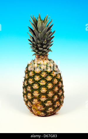 Pineapple against a blue and white background. Stock Photo