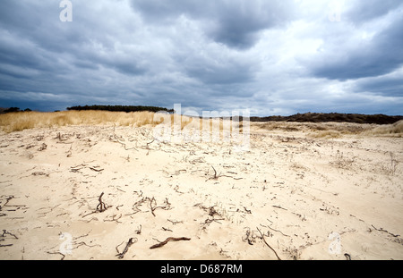 sandy desert before storm Stock Photo