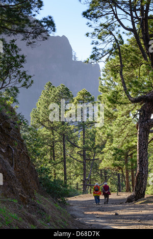La Palma, Canary Islands - La Cumbrecita, mountain ridge national park area. Elderly couple walking on trail. Stock Photo