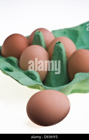 Six brown eggs in a cradboard carton Stock Photo