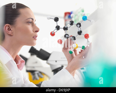 Scientist examining molecular model Stock Photo