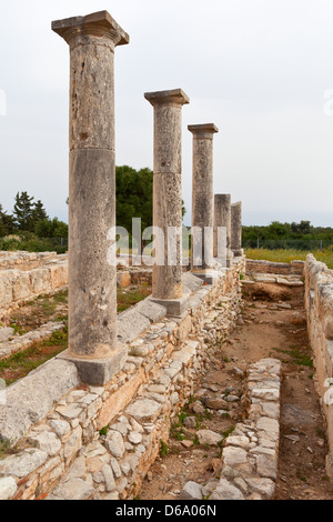 Cyprus - The Sanctuary and Temple of Apollo Hylates at the Kourion archaeological site Stock Photo