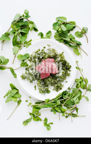 Plate of meat with herbs Stock Photo