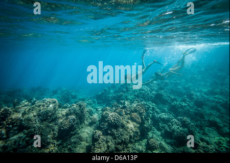 Snorkelers swimming in coral Stock Photo