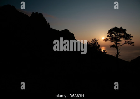 Sun Rise over sloping cliff with tree in silhouette Stock Photo - Alamy