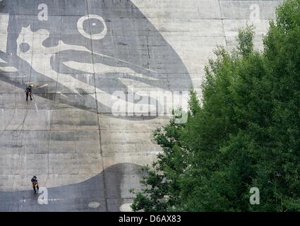 An oversized artwork is being created on Eibenstock Dam in Eibenstock, Germany, 10 August 2012. The giant artwork by artist Klaus Dauven entitled 'Fisch-Reich' ('Fish Empire') showing two trout is intended to increase tourism to the region. Photo: PETER ENDIG Stock Photo
